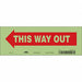 Safety Sign 3 1/2 in x 10 in Glow Vinyl