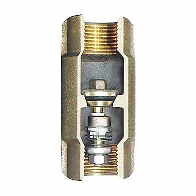 Spring Check Valve Bronze 1 FNPT