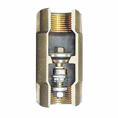 Spring Check Valve Bronze 1-1/4 FNPT