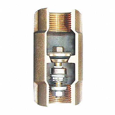 Spring Check Valve Bronze 2 FNPT