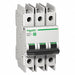 IEC Mini Circuit Breaker 45A 3P 240V