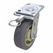 Standard Plate Caster Swivel 500 lb.