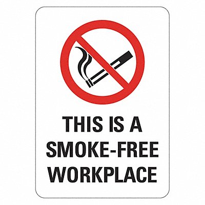 No Smoking Sign 10 in x 7 in Plastic