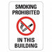 No Smoking Sign 7 inx10 in Plastic