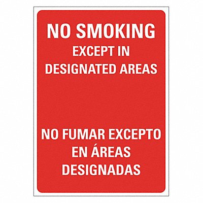 No Smoking Sign 14 inx10 in Plastic