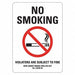 No Smoking Sign 14 inx10 in Plastic