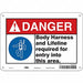 Safety Sign 7 in x 10 in Polyethylene