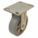 Standard Plate Caster Rigid 660 lb.