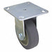 NSF-Listed Plate Caster Rigid 325 lb.