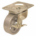 Standard Plate Caster Swivel 250 lb.