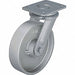 Standard Plate Caster Swivel 1650 lb.