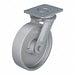 Standard Plate Caster Swivel 1980 lb.