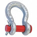 Shackle 5/8 in 6500 lb Round Pin