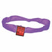 Round Sling Endless Purple 10 ft L