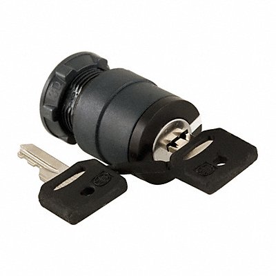 Non-Illum Selector Swtch 22mm 2 Pos Keyd