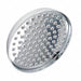 Shower Head Wall Mount 8 in Face dia.