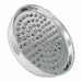 Shower Head 4 in H Wall Mount