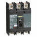 Molded Case Circuit Breaker 240V 100A