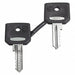 Set Of 2 Keys For 421E Key