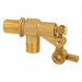 Float Valve 1/2 in Bulkhead Brass MNPT