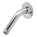 Shower Arm Zurn Brass