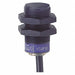 Inductive Sensor 24Vdc 200Ma Xs +Options