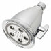 Shower Head Bulb 2.0 gpm