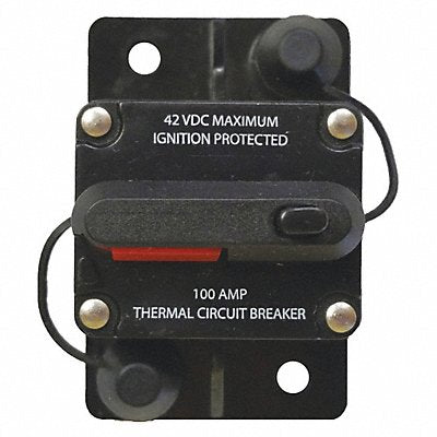 Automotive Circuit Breaker 100A at 12VDC