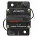 Automotive Circuit Breaker 100A at 12VDC