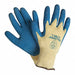Lg Yellow Shell/Blue Latex PR
