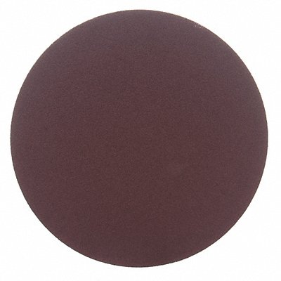 PSA Sanding Disc 10 in Dia 60 G PK10