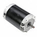 Pump Motors