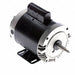 Pump Motors