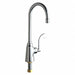 Gooseneck Chrome Chicago Faucets 350