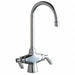 Gooseneck Chrome Chicago Faucets 50