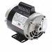 Pump Motors