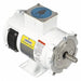 DC Washdown Motor 1/3 HP 1750 56C 90V