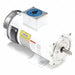 DC Washdown Motor 1 HP 1750 56C 180V