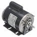 Motor 1/3 HP 1725 rpm 48Z 115/208-230V