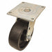 Standard Plate Caster Swivel 650 lb.