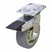 Standard Plate Caster Swivel 350 lb.