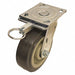 Standard Plate Caster Swivel 750 lb.