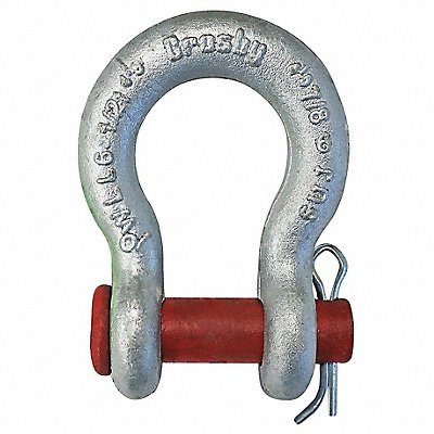 Anchor Shackle 3/4 Body Sz Galvanized