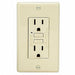 GFCI Receptacle General Purpose 2-Poles