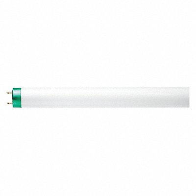 Fluorescent 32 W T8 Medium Bi-Pin (G13)