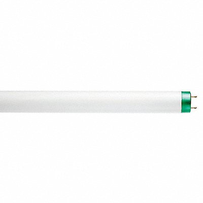 Fluorescent 32 W T8 Medium Bi-Pin (G13)