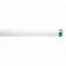 Fluorescent 17 W T8 Medium Bi-Pin (G13)