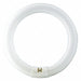 Fluorescent 39.5 W T9 4-Pin (G10q)