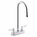 Gooseneck Chrome Kohler Triton Bowe