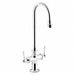 Gooseneck Chrome Kohler Triton Bowe